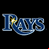 Tampa Bay Rays logo